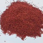 Dried Cranberry / Cranberry (Grain) - Görsel 2